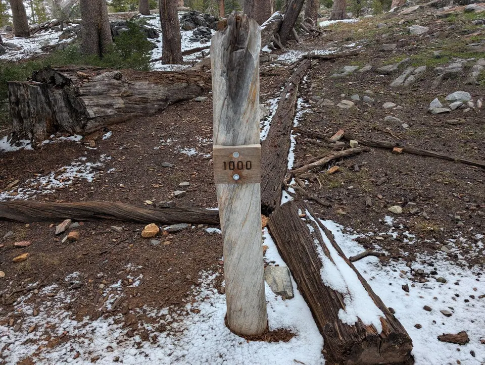 Poteau en bois marqué 1000 dans une forêt partiellement enneigée
