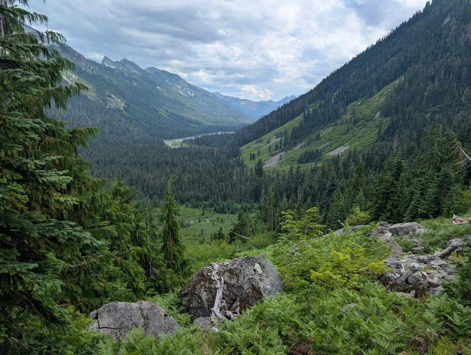 Vallée encaissée couverte de conifères sous un ciel nuageux