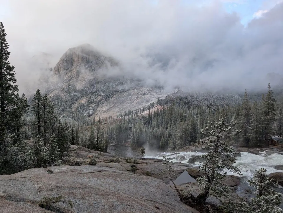 Montagnes rocheuses dans la brume au-dessus d'une forêt de conifères