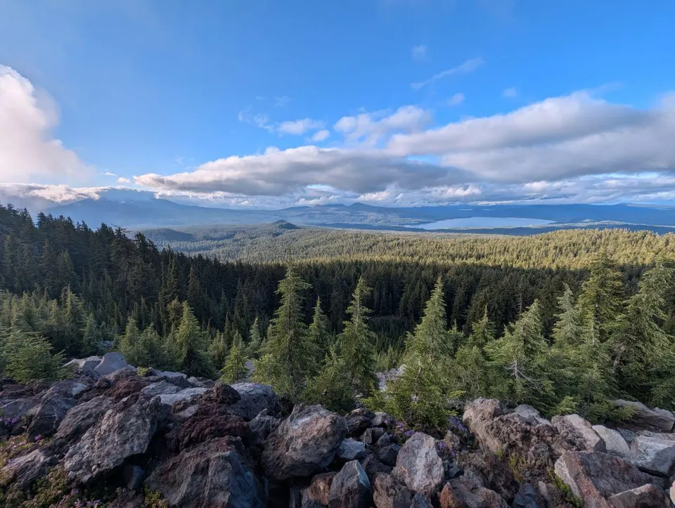 Forêt de conifères et montagnes lointaines sous un ciel bleu nuageux