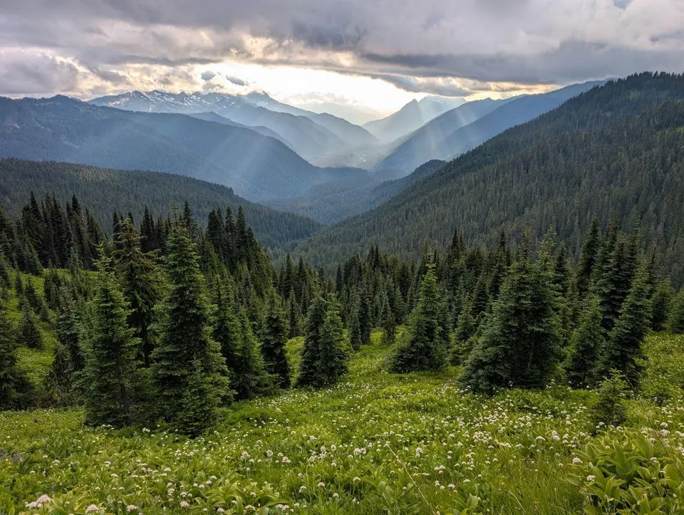 Rayons de soleil perçant les nuages au-dessus d'une vallée boisée