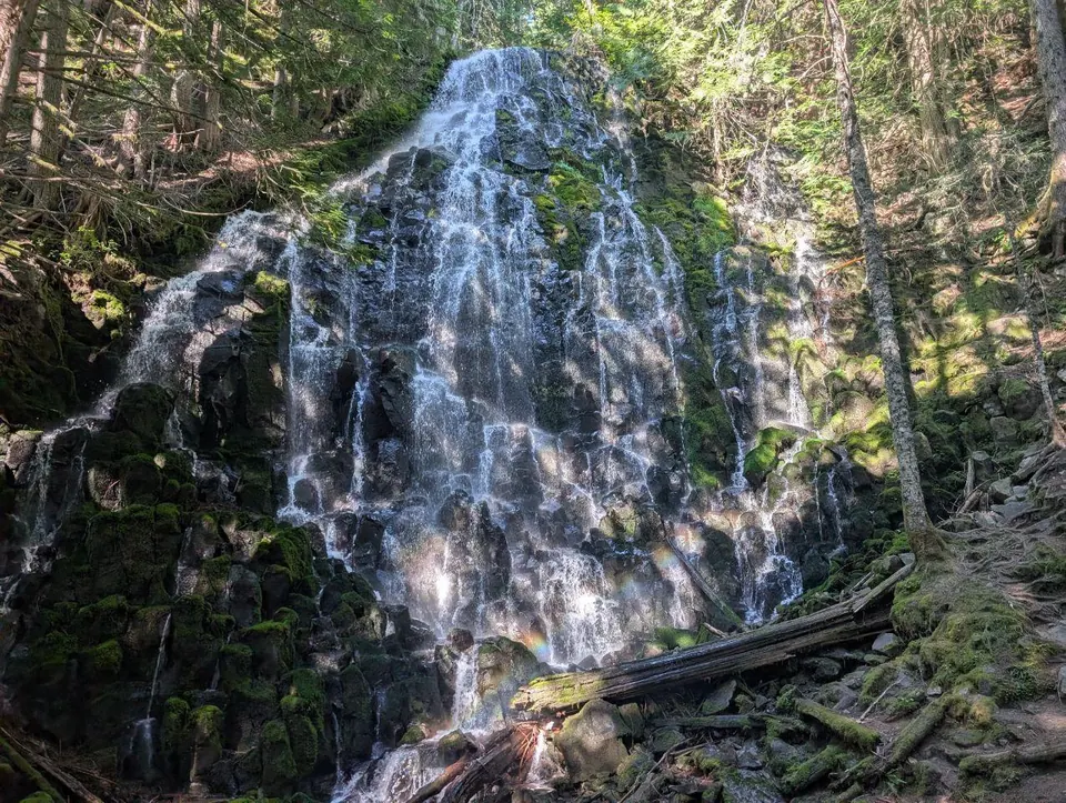 Cascade ruisselant sur une paroi couverte de mousse en forêt