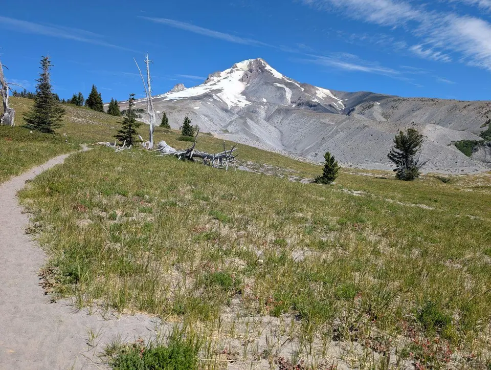 Sentier de terre dans une prairie face à un sommet volcanique enneigé