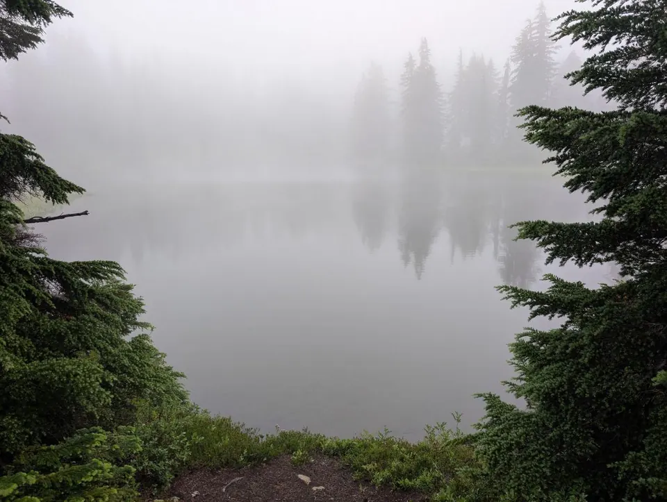 Lac calme enveloppé de brume entre des conifères