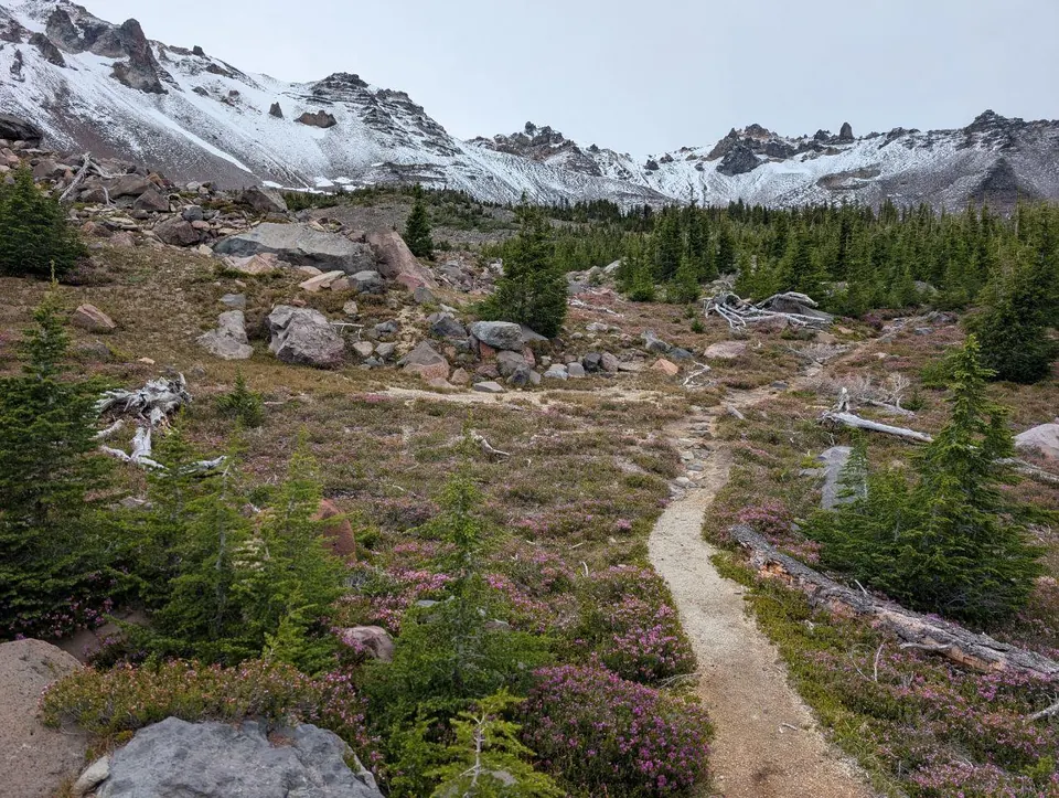 Sentier serpentant entre les conifères et les plaques de neige en montagne