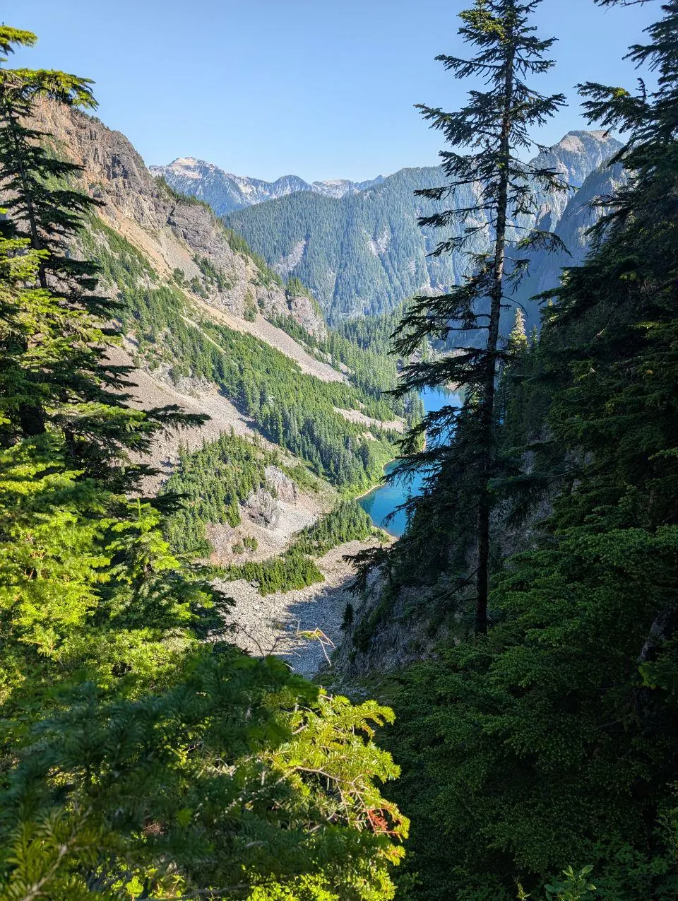 Vallée alpine profonde vue entre des conifères