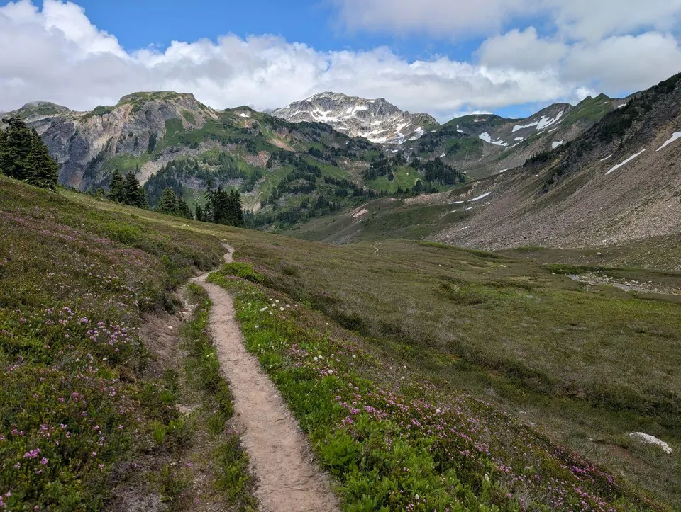 Sentier étroit traversant une vallée alpine verdoyante
