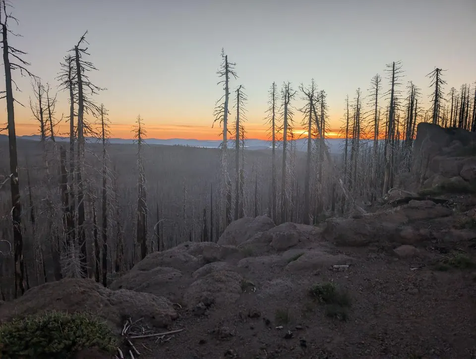 Coucher de soleil orange derrière les troncs d'une forêt brûlée