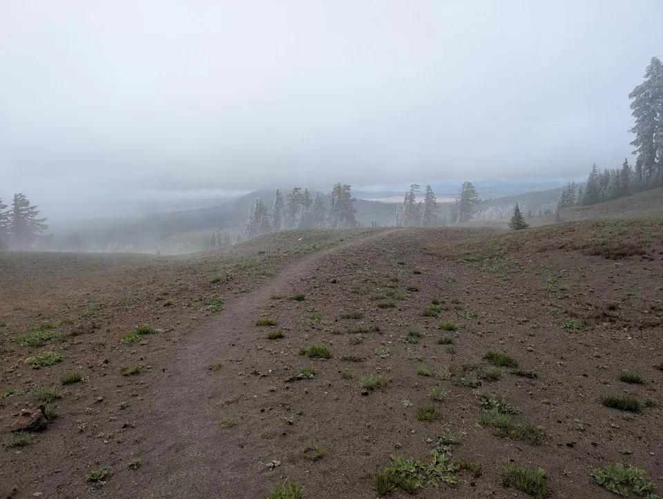 Prairie et conifères à peine visibles dans un brouillard dense