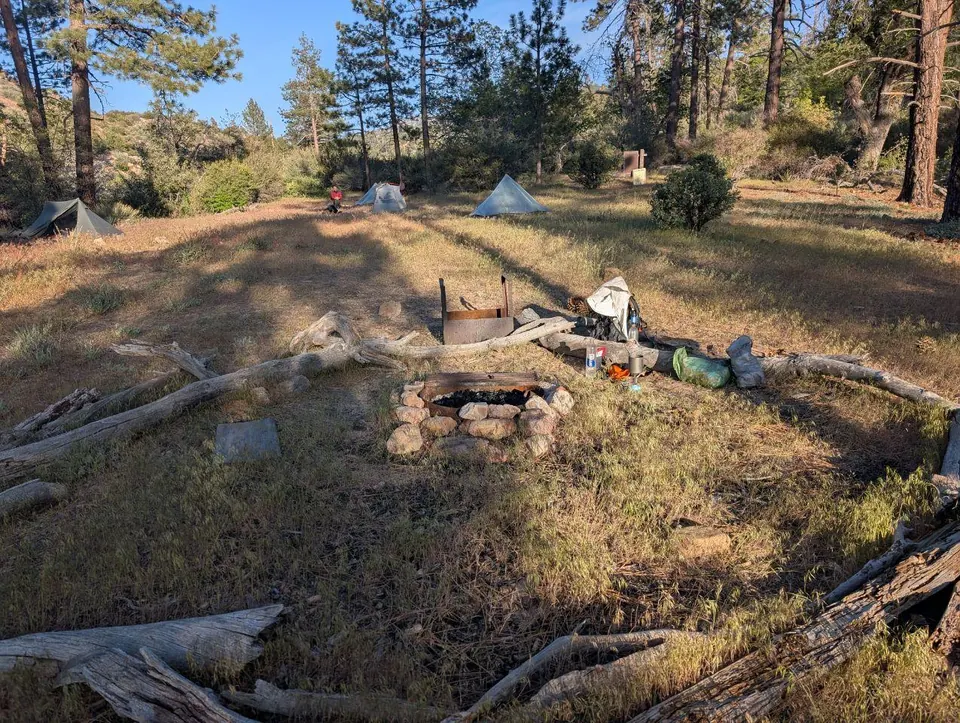 Campement dispersé autour d'un foyer dans une clairière