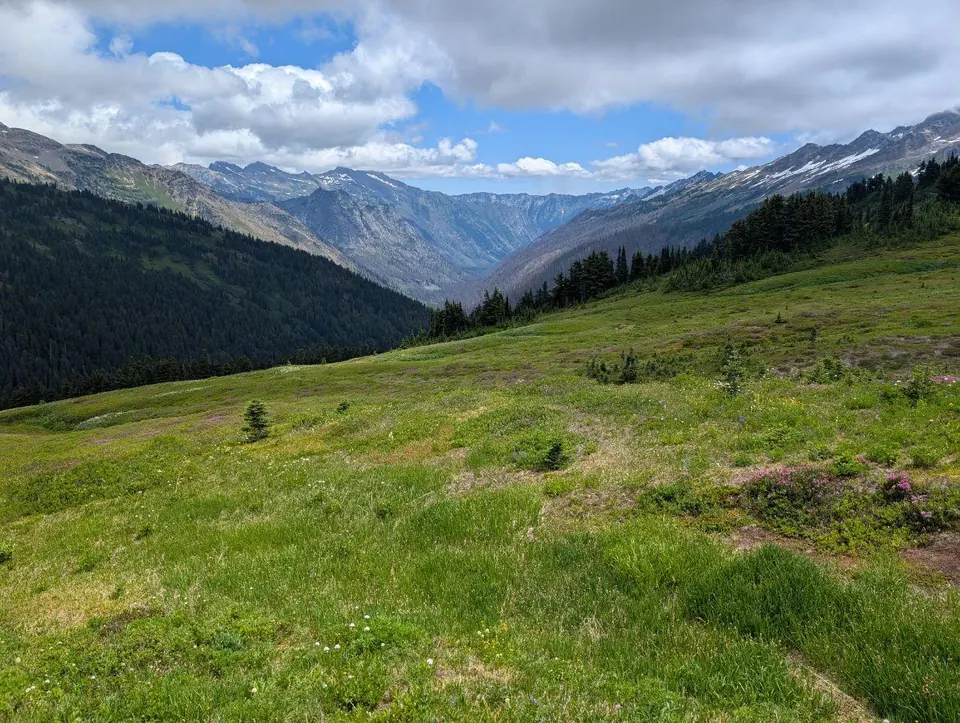 Prairie alpine verte dominant une longue vallée montagneuse