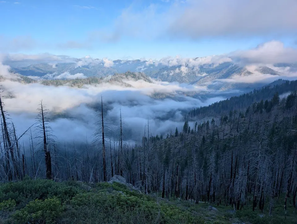 Montagnes émergeant des nuages au-dessus d'une forêt brûlée