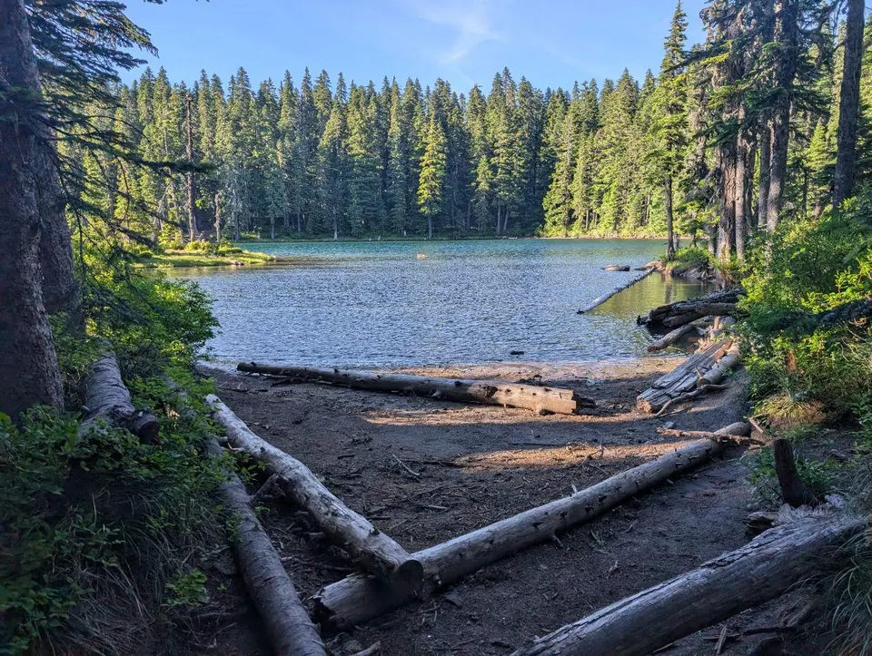 Petit lac forestier bordé de troncs couchés