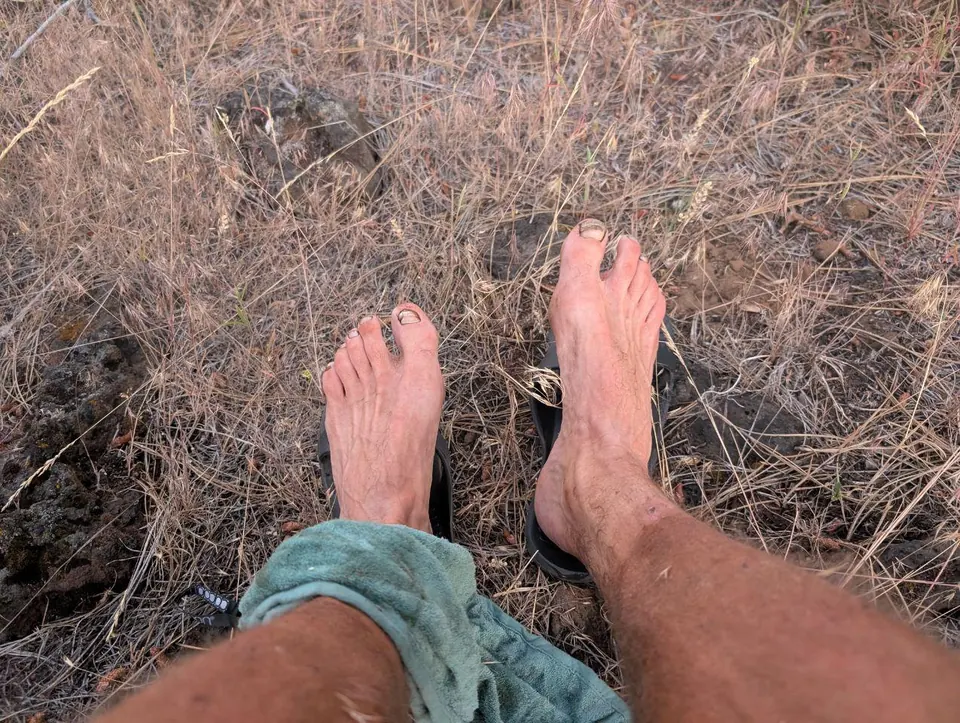 Pieds nus poussiéreux reposant au milieu de broussailles sèches