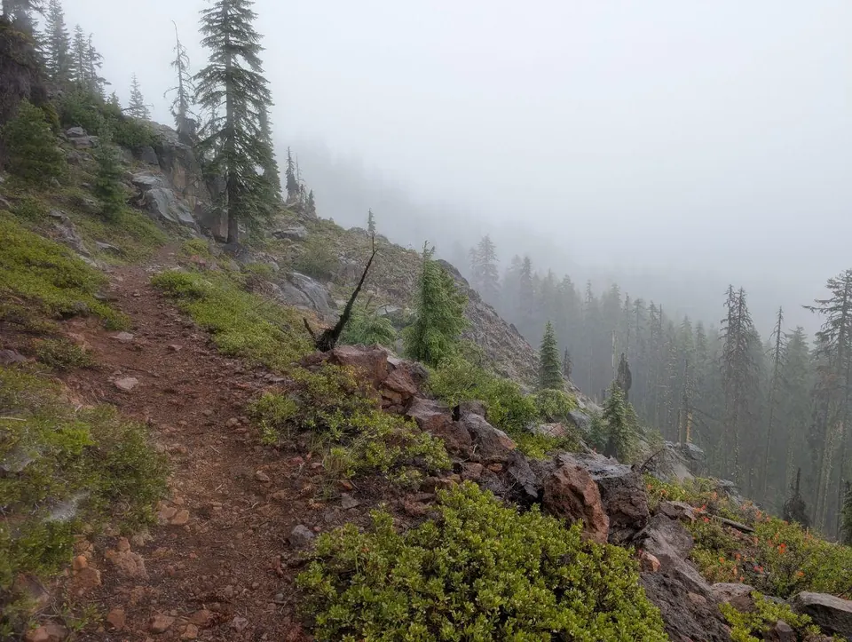 Sentier rougeâtre sur un versant boisé plongé dans la brume
