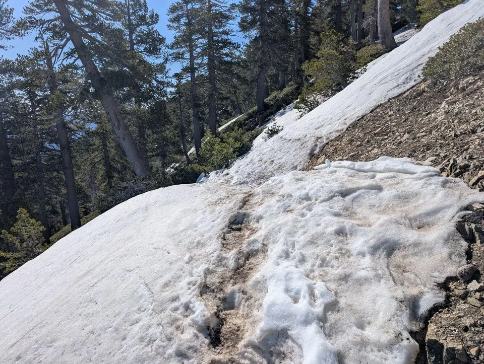 Banc de neige pentu au bord d'un sentier forestier