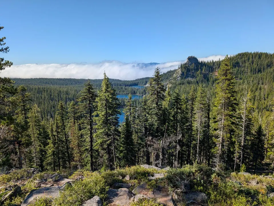Lac entrevu au-delà d'une forêt dense de conifères
