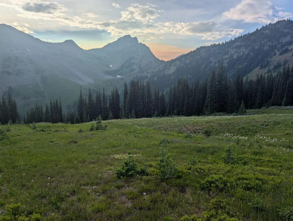 Prairie alpine au crépuscule sous des sommets dentelés