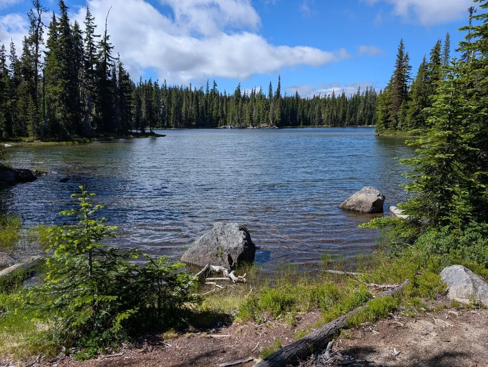 Lac alpin bordé de rochers et de sapins
