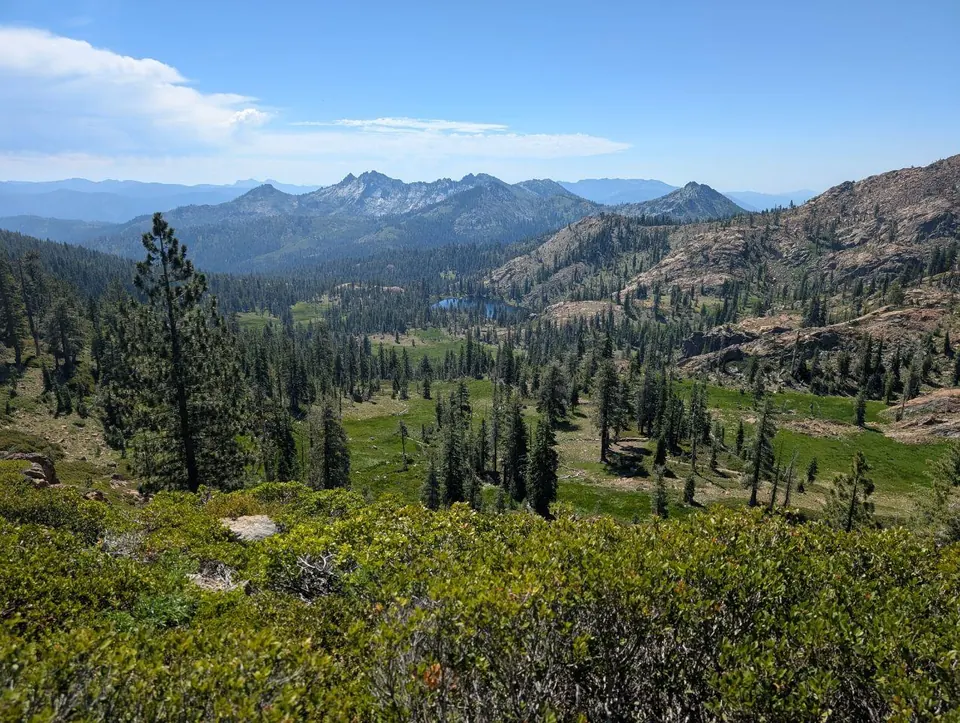 Vaste cirque alpin couvert de conifères et de prairies