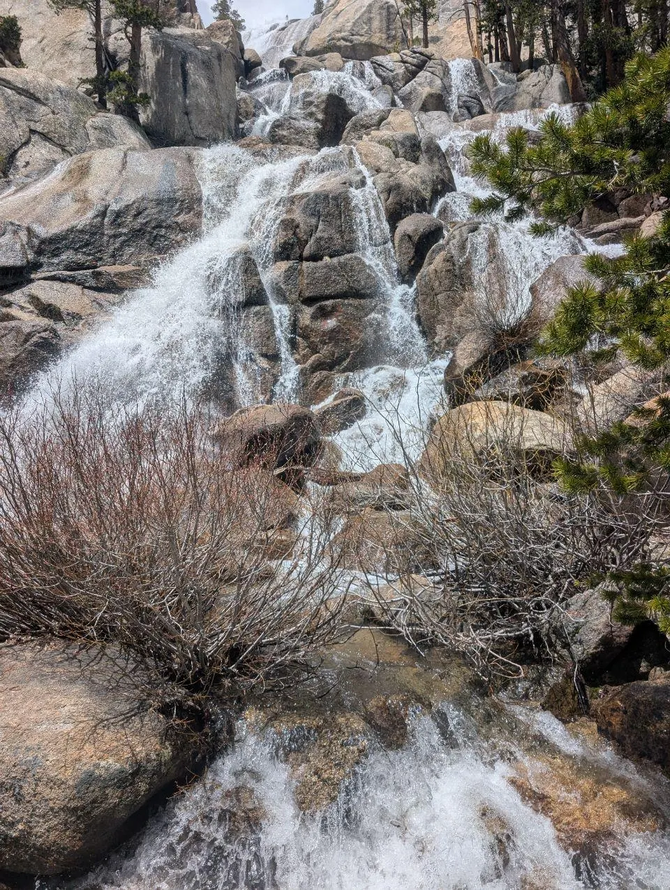 Cascade dévalant des rochers entre des buissons