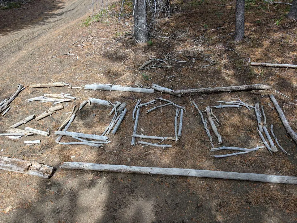 Nombre 2000 formé avec des branches sur le sol de la forêt
