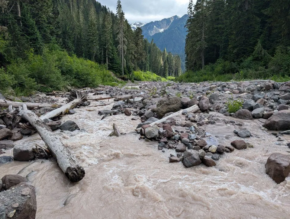 Torrent boueux traversant un lit rocheux encombré de troncs