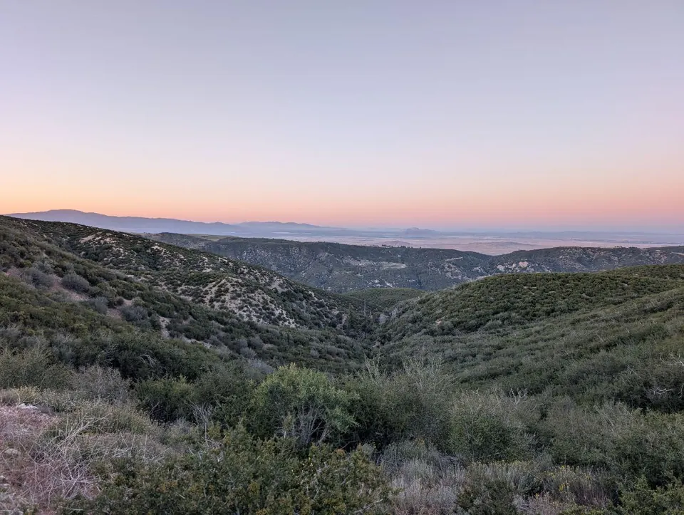 Collines de broussailles sous un ciel rose à l'aube