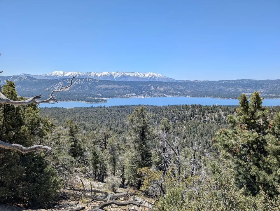 Grand lac entouré de forêts avec des montagnes enneigées à l'horizon