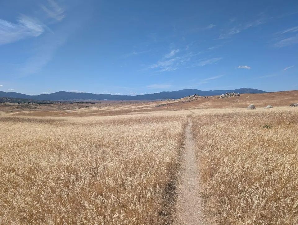 Trace étroite traversant une vaste prairie sèche