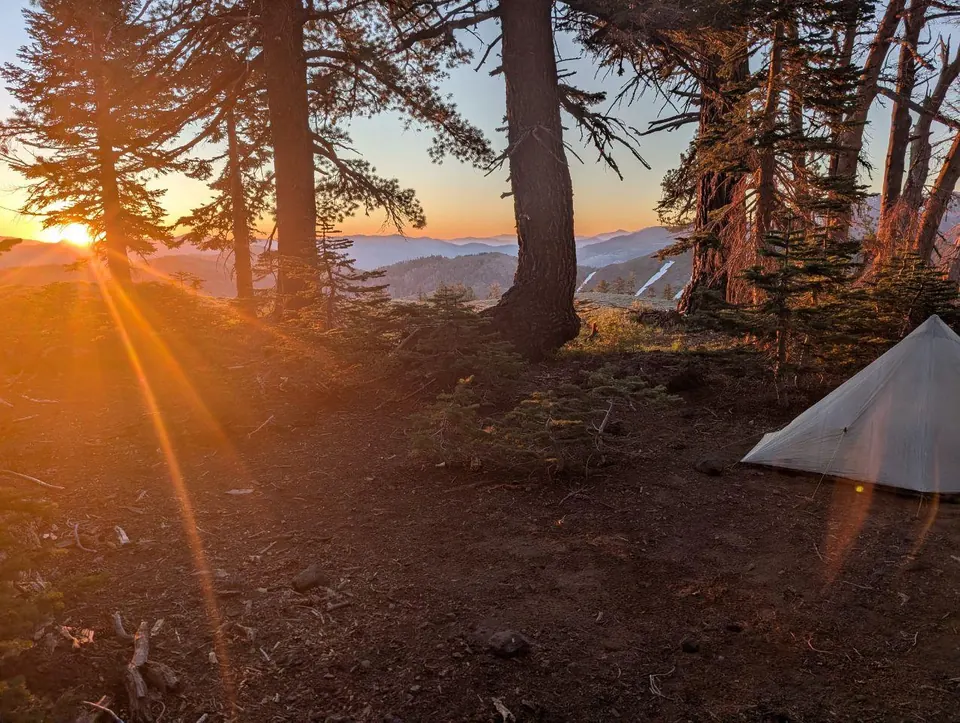 Soleil couchant entre les troncs près d'une tente