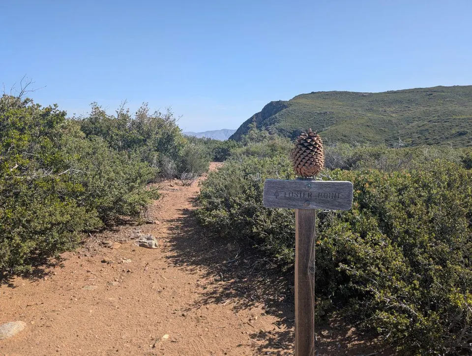 Panneau Toaster Point surmonté d'une pomme de pin au bord du sentier