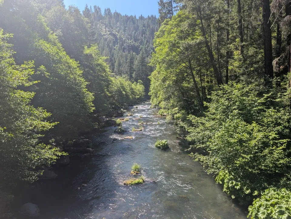 Rivière traversant une gorge forestière éclairée par le soleil