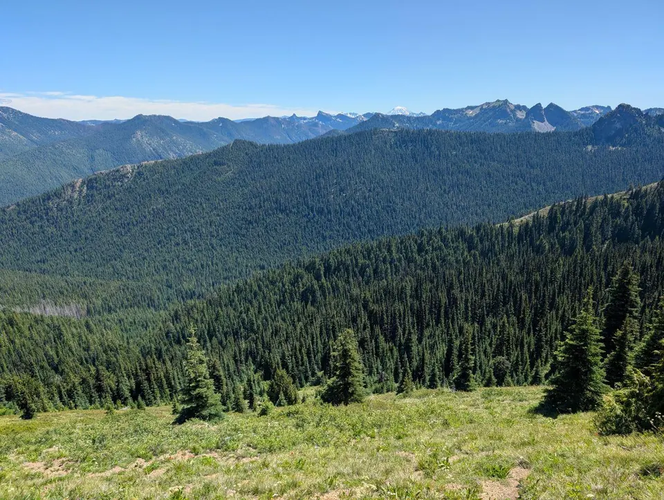 Vaste panorama de forêts et de chaînes montagneuses