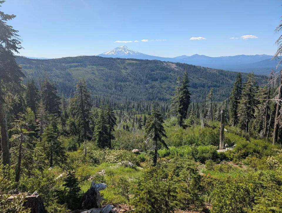 Sommet enneigé dominant une immense forêt de conifères
