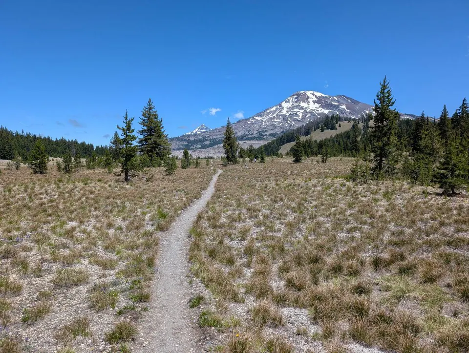 Sentier droit menant vers un sommet enneigé sous un ciel bleu