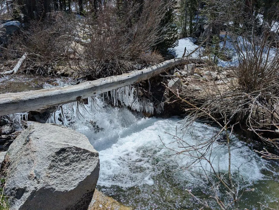 Torrent de montagne passant sous un tronc couché