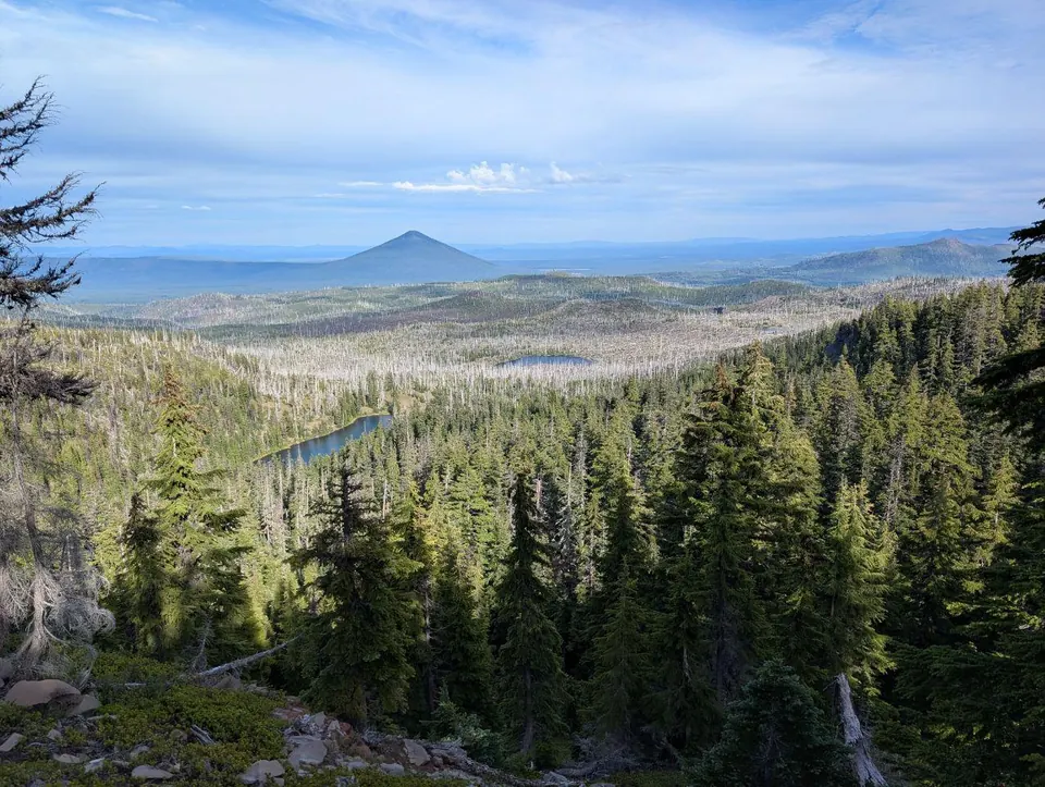 Cône volcanique dominant une vaste forêt de conifères