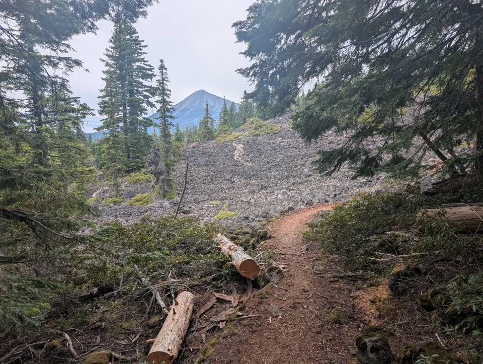 Sentier forestier avec un sommet rocheux en arrière-plan
