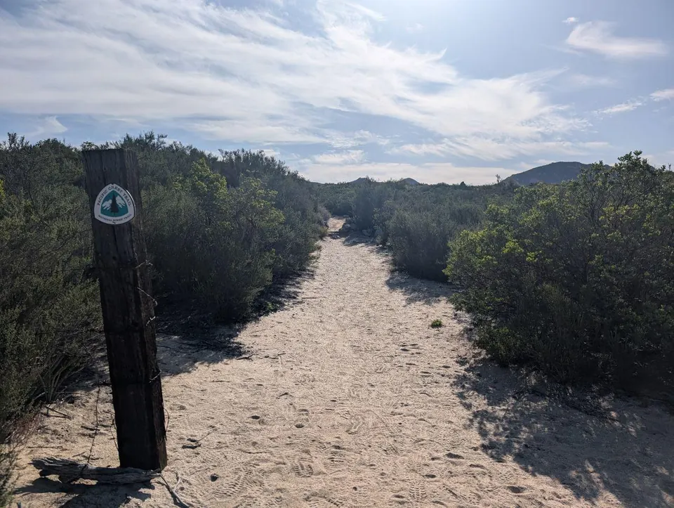 Balise du Pacific Crest Trail sur un poteau au bord d'un chemin sablonneux