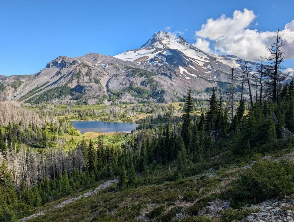 Montagne enneigée dominant un lac entouré de sapins