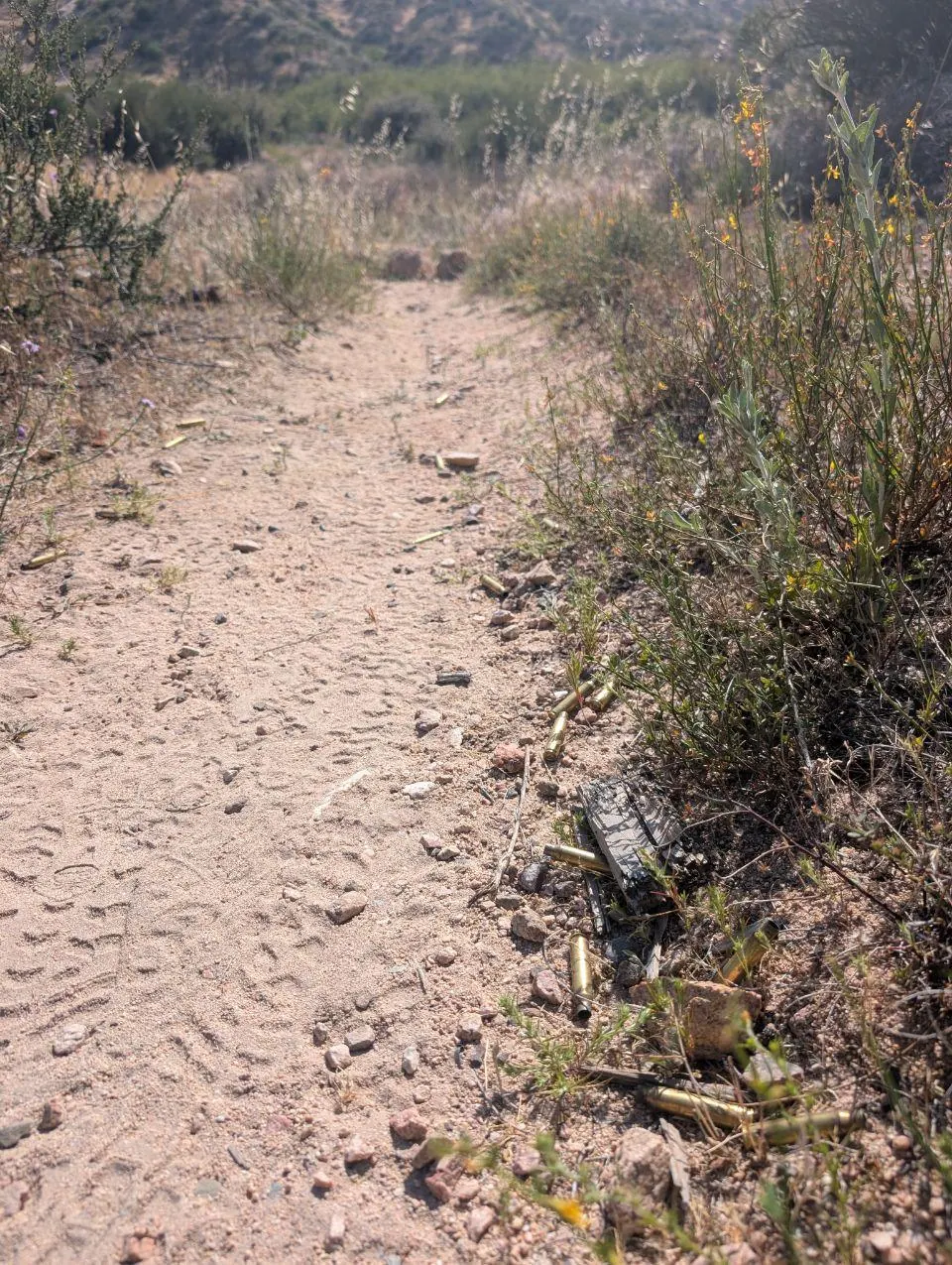 Douilles éparpillées au bord d'un sentier sablonneux