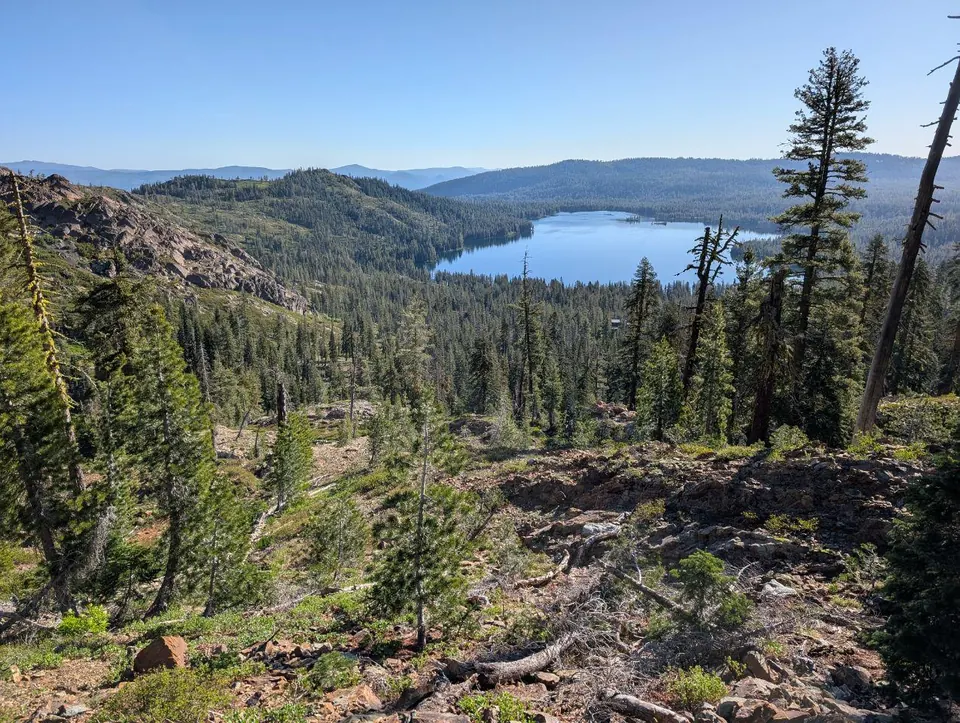 Grand lac entouré d'une forêt de conifères