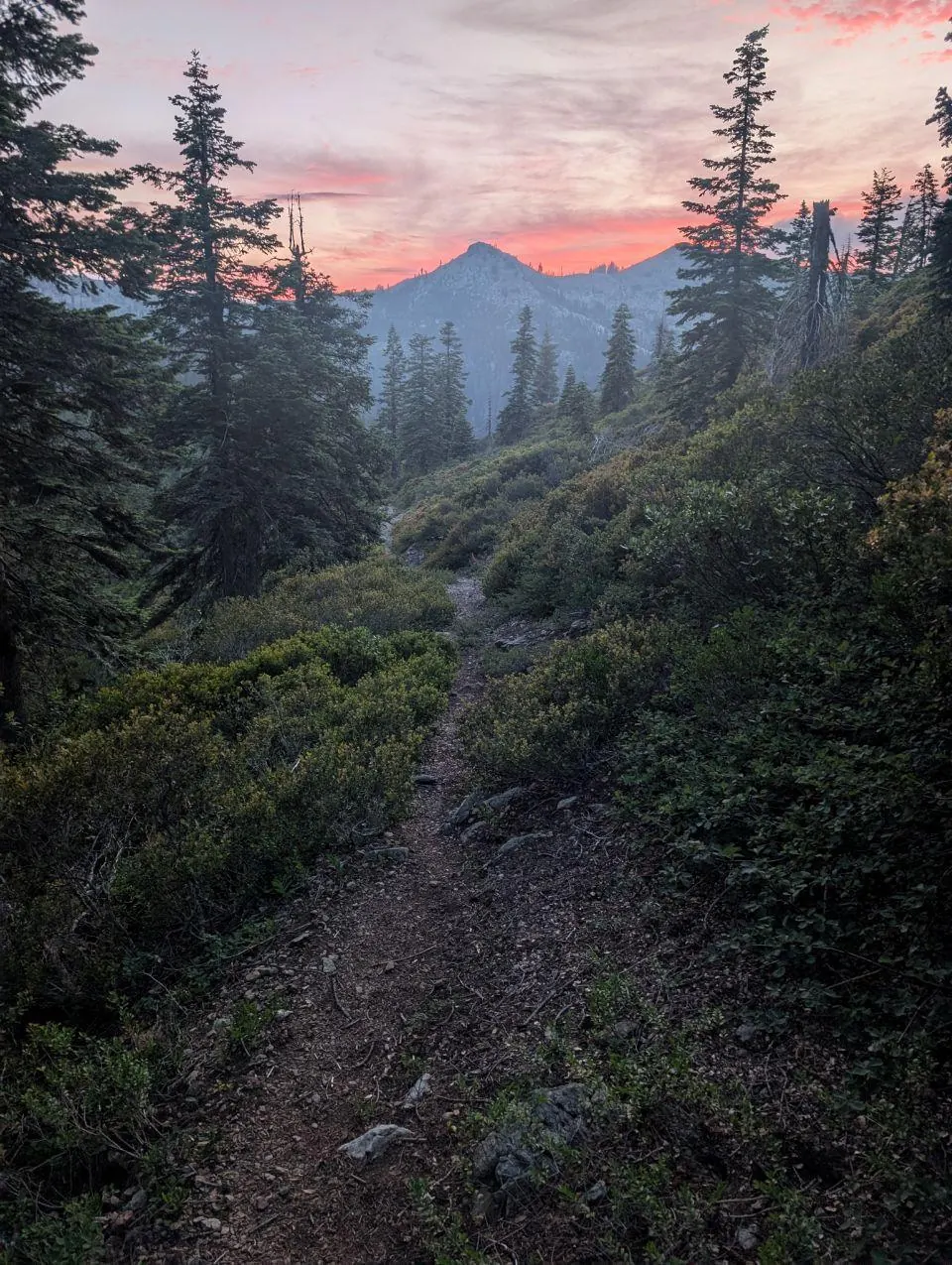 Sentier forestier sous un ciel rouge au coucher du soleil