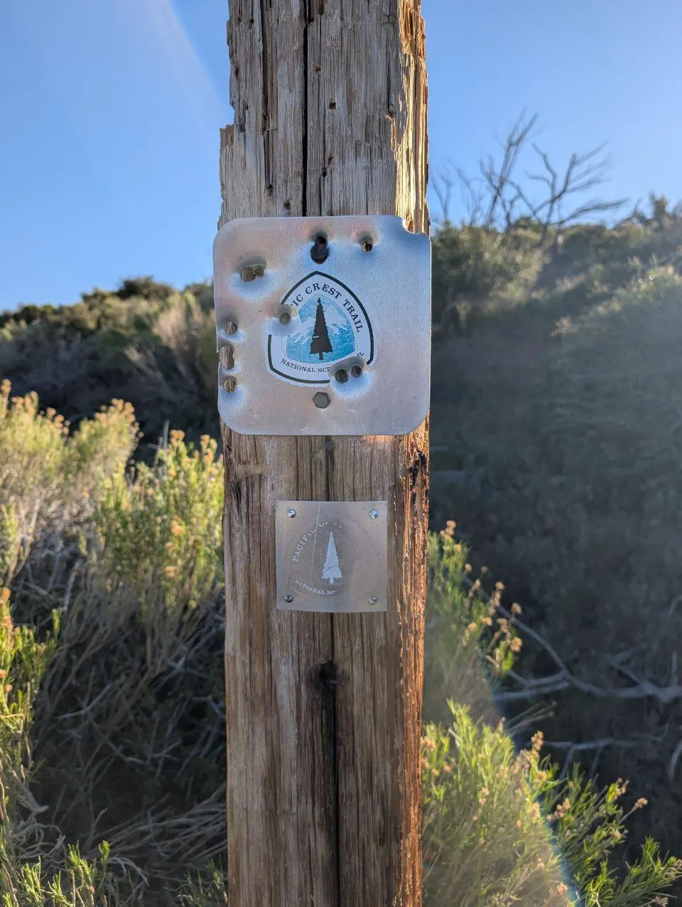 Balise du Pacific Crest Trail fixée à un poteau en bois