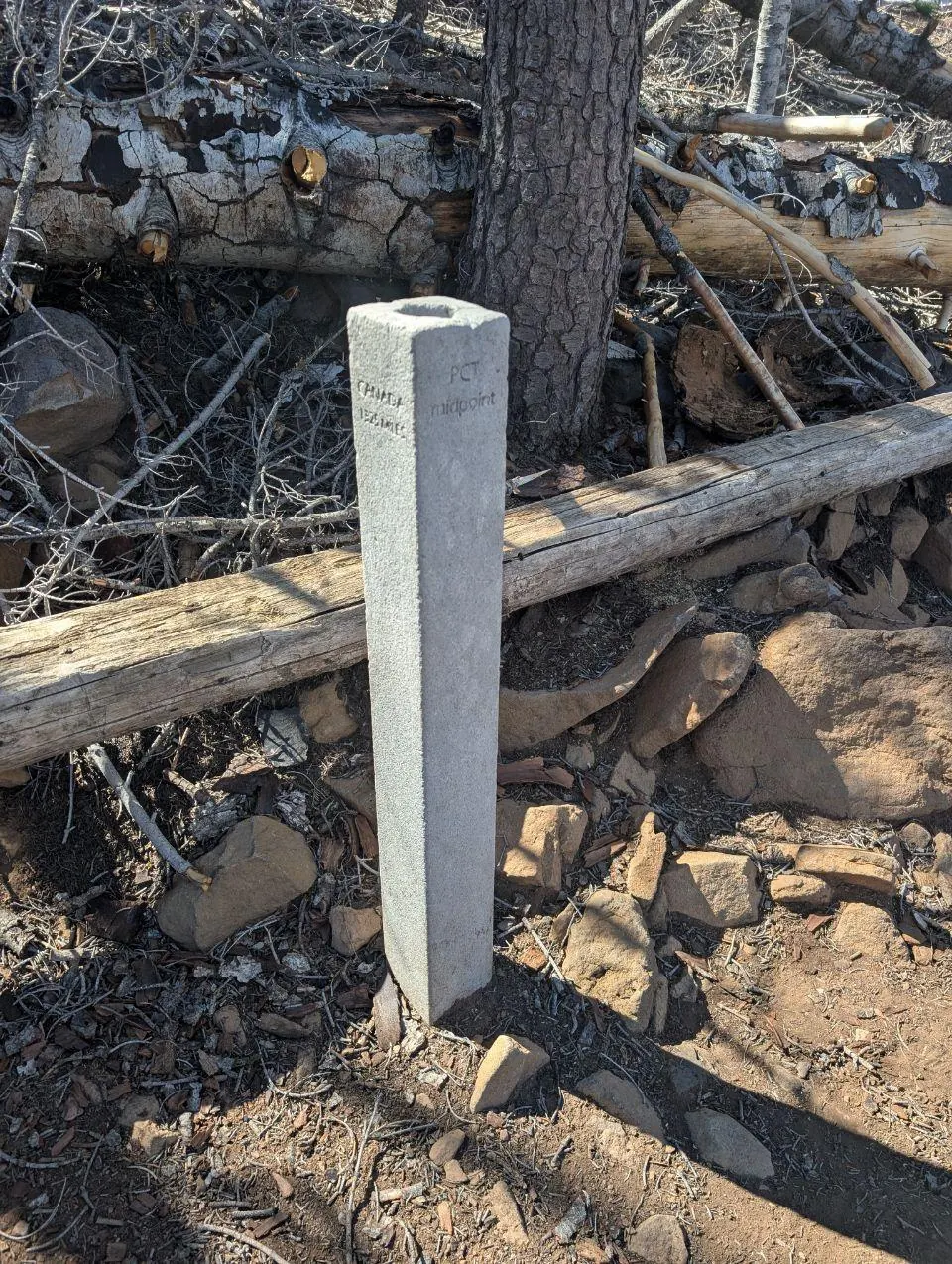Poteau blanc planté dans une forêt brûlée